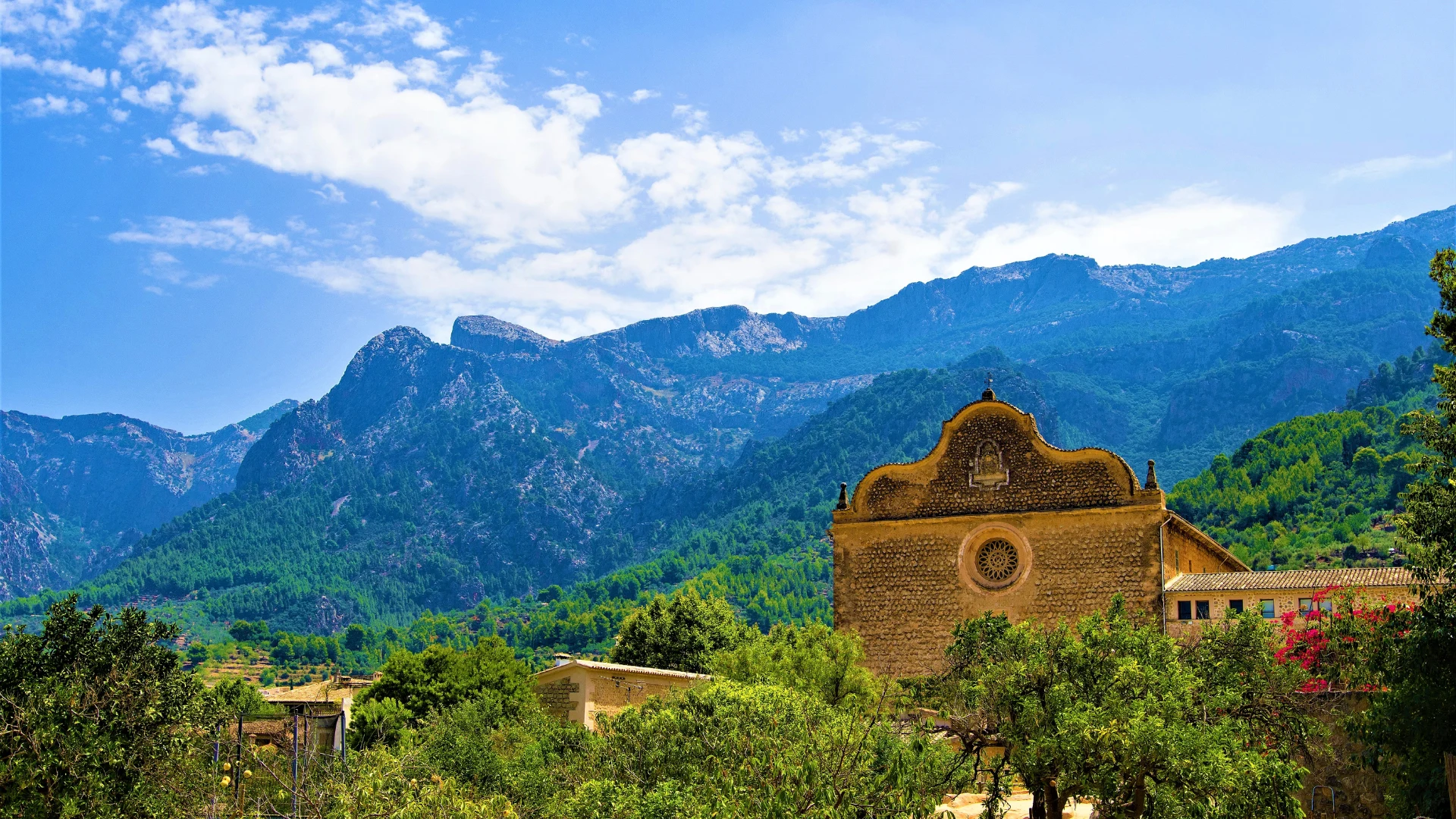Dramatic Tramuntana peaks with ancient olive terraces and dry-stone walls in golden afternoon light, the iconic art retreat landscape