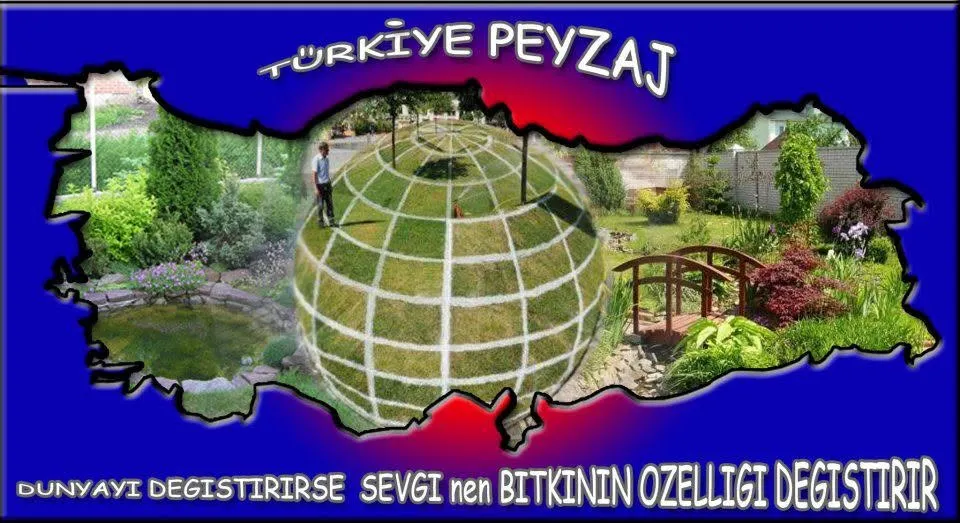 Türkiye Peyzaj - Bahçe ve Peyzaj Uygulamaları