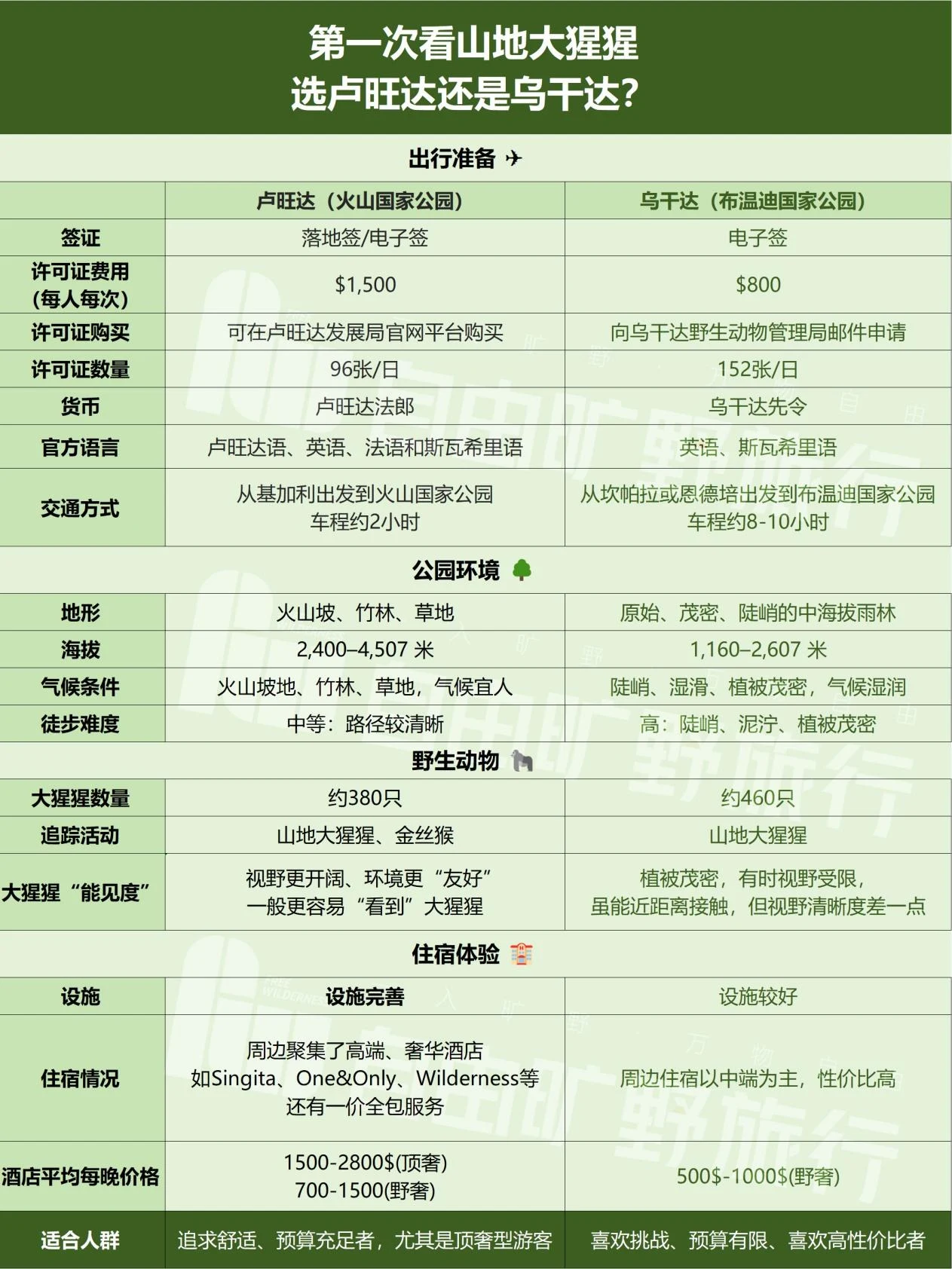 卢旺达与乌干达山地大猩猩对比