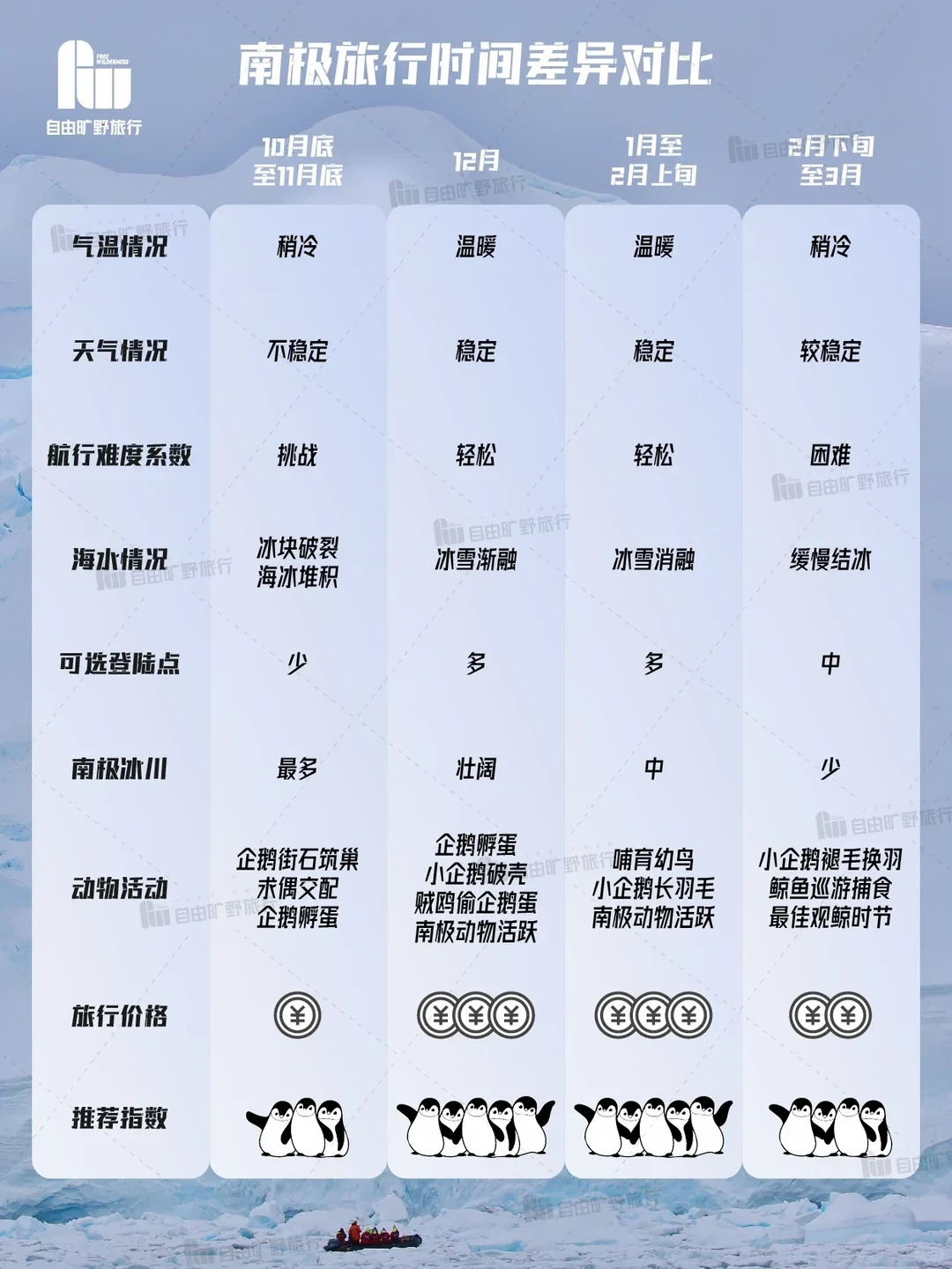 南极海域的鲸鱼