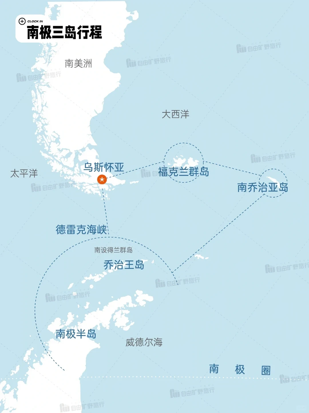 南乔治亚岛王企鹅群