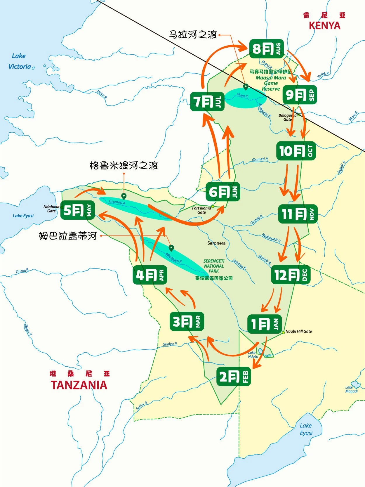 东非动物大迁徙全年路线图(坦桑尼亚塞伦盖蒂与肯尼亚马赛马拉)