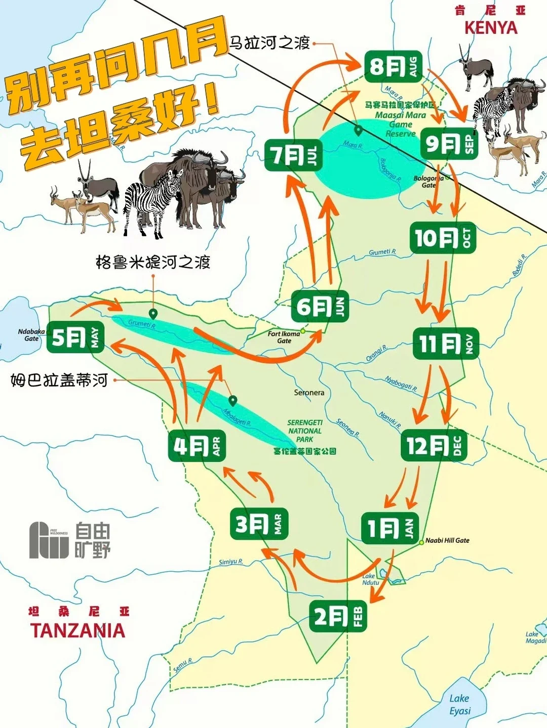 坦桑尼亚塞伦盖蒂与肯尼亚马赛马拉动物大迁徙全年路线图
