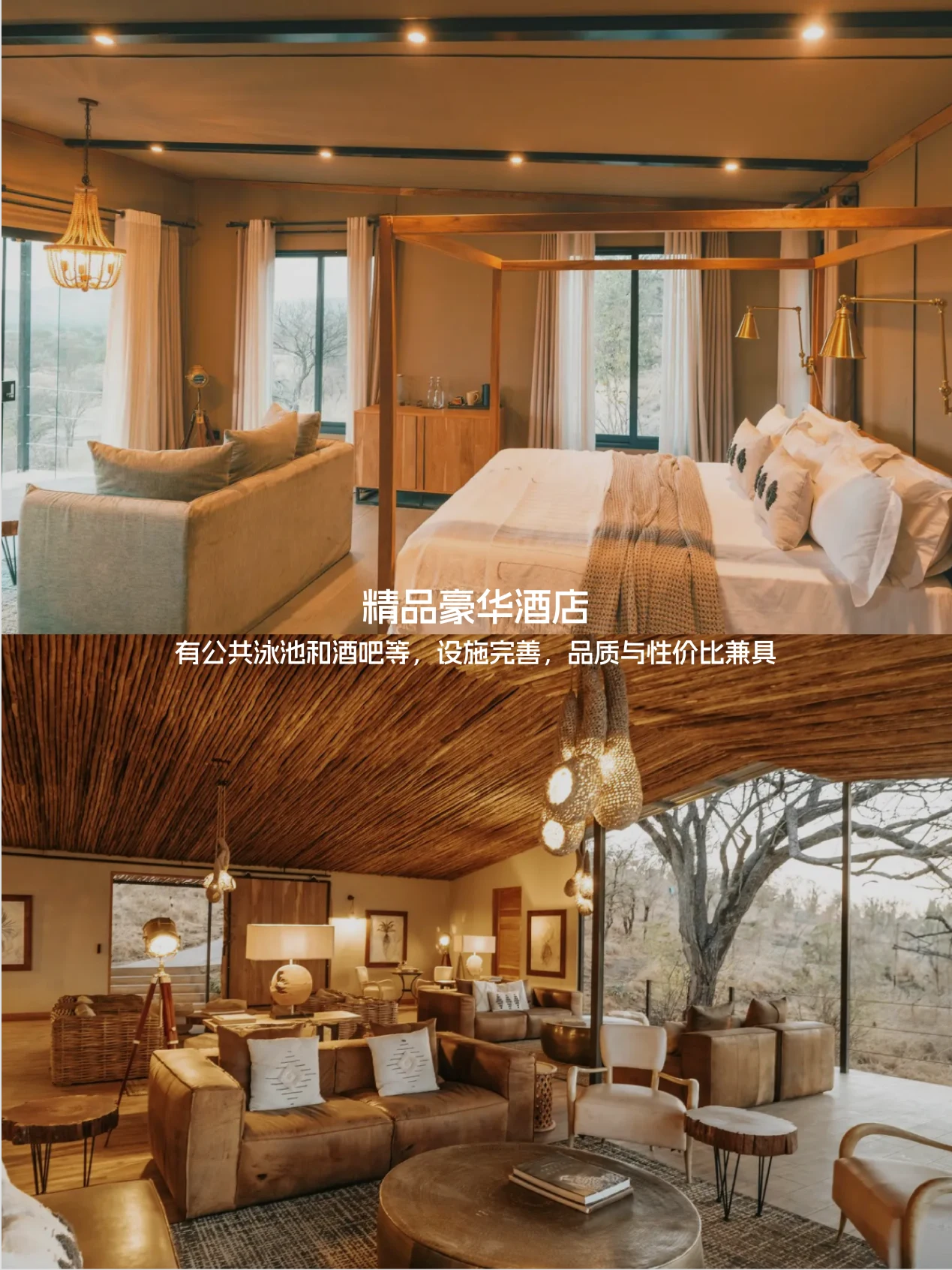 坦桑尼亚精品豪华营地酒店温馨客房与休闲公区