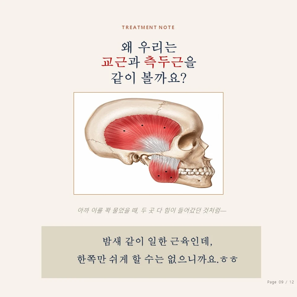 왜 교근과 측두근을 같이 볼까요 교근과 측두근을 함께 보는 이유 - 이갈이 보톡스 치료 원리