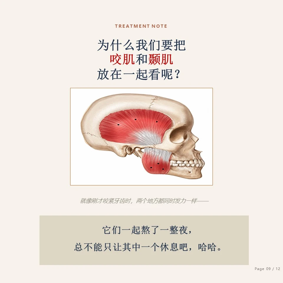 钟路磨牙肉毒素 - 为何一起治疗咬肌与颞肌 钟路磨牙肉毒素 - 为什么把咬肌和颞肌放在一起看