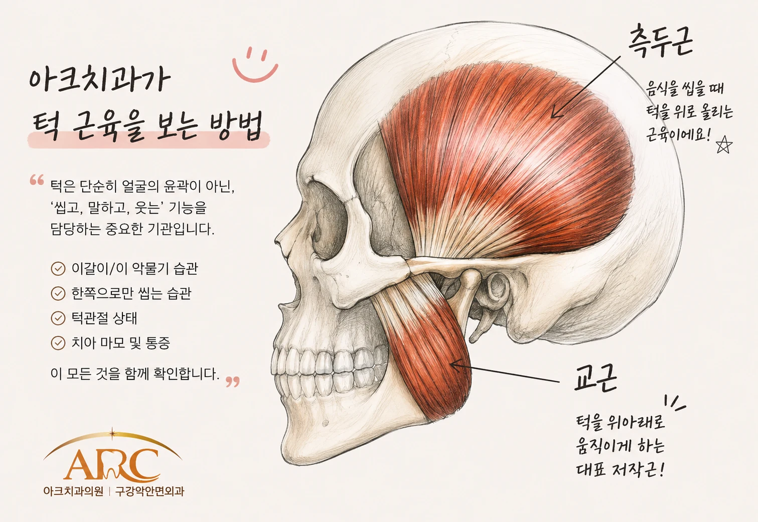 아크치과가 턱 근육을 보는 방법