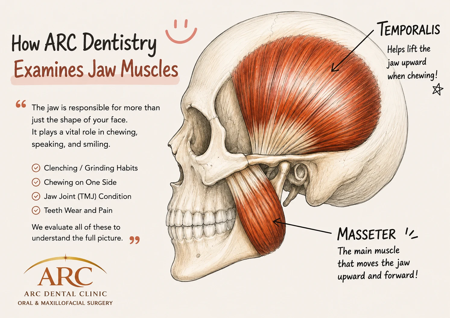 How ARC Dentistry Examines Jaw Muscles - Comprehensive jaw muscle evaluation including clenching, grinding, chewing habits, TMJ condition, and teeth wear