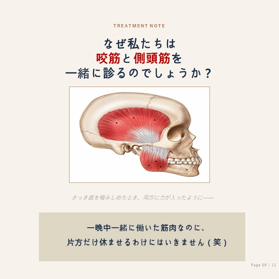 鍾路の歯ぎしりボトックス - 咬筋と側頭筋を一緒に診る理由